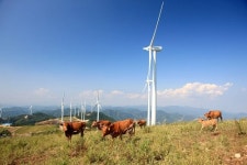 청송·영양 풍력발전단지 조성사업 ‘빨간불’