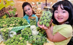 “햇 매실 나왔어요”