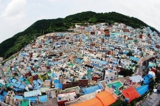 해외 안부러워 국내도 이국적 여행지 많다