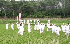 전국의 농요들 고성서 선보였다