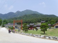 [김성회의 뿌리를 찾아서] <10> 광산김씨