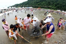 올 여름 피서철 영덕 황금은어축제로 오세요