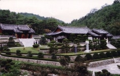 [김성회의 뿌리를 찾아서] <13> 의성김씨