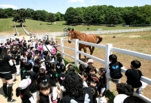 종마목장, 피서객을 유혹하다