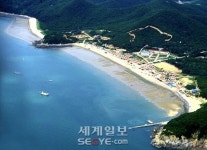 금빛 모래사장 펼쳐진 섬 해수욕장 솔바람 그윽