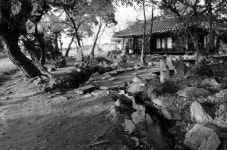 아산 외암마을 송화댁 인기