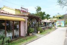 파주 프로방스 이국적 향기 물씬