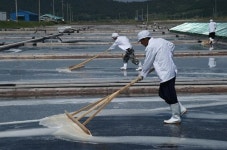 친환경 생산시설 완벽 구축 ‘청정염전’