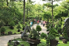 바람많고 돌많던 황무지가 세계인 찾는 열대농장으로