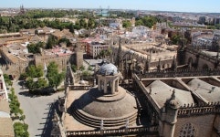 [스페인 문화기행] ④ 드라마와 현실의 경계가 모호한 세비야