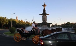 [스페인 문화기행] ④ 드라마와 현실의 경계가 모호한 세비야
