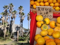 이 풍경을 보았다면, 당신은 로또에 맞은 것이다