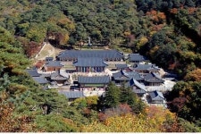 [이한호의 Funny Place] 해인사 소리길
