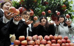 “맛있는 사과 드세요”