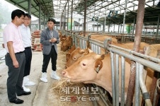 [기획] 한미 FTA, 한우농가 생존 못해