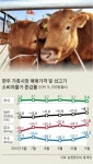사육두수 관리 실패 ‘예견된 폭락’… 소도 울고 농민도 울고