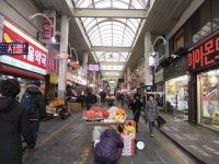 [Funny Place] 서귀포 ‘매일올레시장’