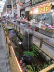 [Funny Place] 서귀포 ‘매일올레시장’