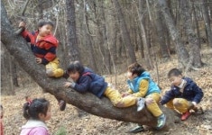 부산시, 시범도입 숲유치원 대폭 확대