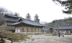 잃어버린 왕국 백제로 시간여행