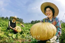 전남 부농 “농산물 판로확보 가장 절실”