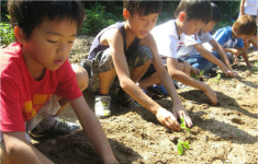 [공부가 술술~] ‘학교문화 선진화 학교’ 살펴보니
