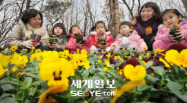 [포토] 서초구, 꽃길 가꾸기 행사