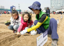도심 속 주말농장 가꾸세요