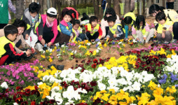 서초구, 동네 자투리땅에 알록달록 꽃 심어요