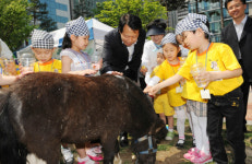 구로구청, 가정의 달 맞아 영유아 대상 이동동물원 행사