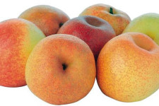 사과야 배야…영국서 패플(pear+apple=papple) 첫 선