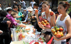 “탐스런 토마토 많이 드세요”