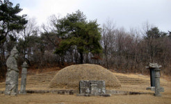 [김성회의 뿌리를 찾아서] 한국의 성씨 이야기 <31> 고령박씨·충주박씨