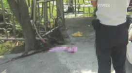 승용차 돌진…생후1개월 아들 업은 엄마 덥쳐