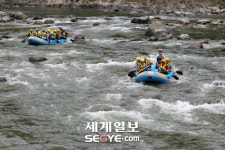 ‘평창 미탄면’ 칠족령 전망대 오르면 휘돌아 흐르는 동강의 용틀임 한눈에