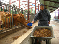 [농어촌이 미래다 ‘그린 라이프’] FTA 파고, 인증제로 넘는다