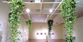 예술이 된 에너지… 바람이 불면 생명이 출렁인다