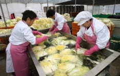 괴산·해남 절임배추 인기…김장철 앞두고 예약 쇄도