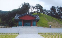[김성회의 뿌리를 찾아서] 한국의 성씨 이야기 <42> 하동정씨