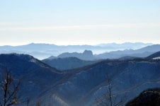 태백 만항재·바람의 언덕…순백의 기상 물결친다