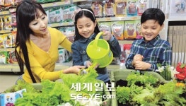 “상추 직접 키워 먹어요”