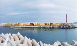 경주 감포 전촌항 방파제 대규모 타일벽화 조성