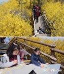 [포토] 응봉산 개나리축제