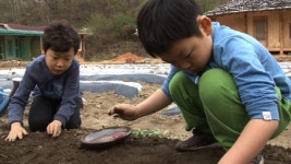 장난꾸러기 형제의 산골마을 2박3일 생활기