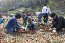 서울시·농협 ‘도시가족 주말농부 프로그램’ 실시