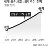 한국 줄기세포 수준…기초연구 8위권