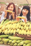 옥수수 하모니카 불어볼까