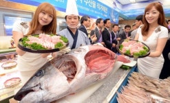 “싱싱한 참치 맛보세요”
