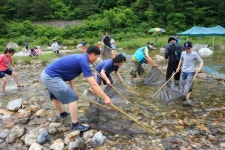 생태 보고인 경북 울진 왕피천에서 피래미 축제 개최