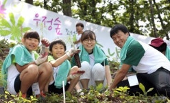 우정사업본부, 우정숲 조성을 통한 금강소나무 심기 행사